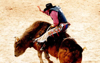 Bullriding