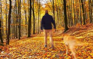 Man Walking Dog in Woods