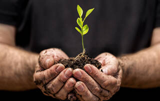 Farmer hands in field